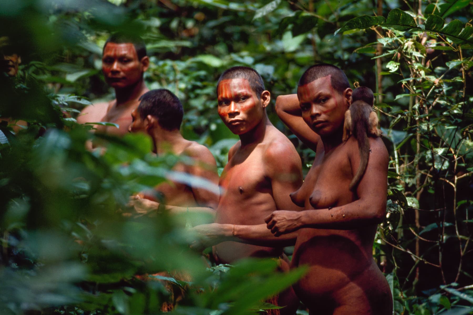 Amazonie, Amérique du Sud, Colombie, Leica M4-P, Nukak Maku, Tribu