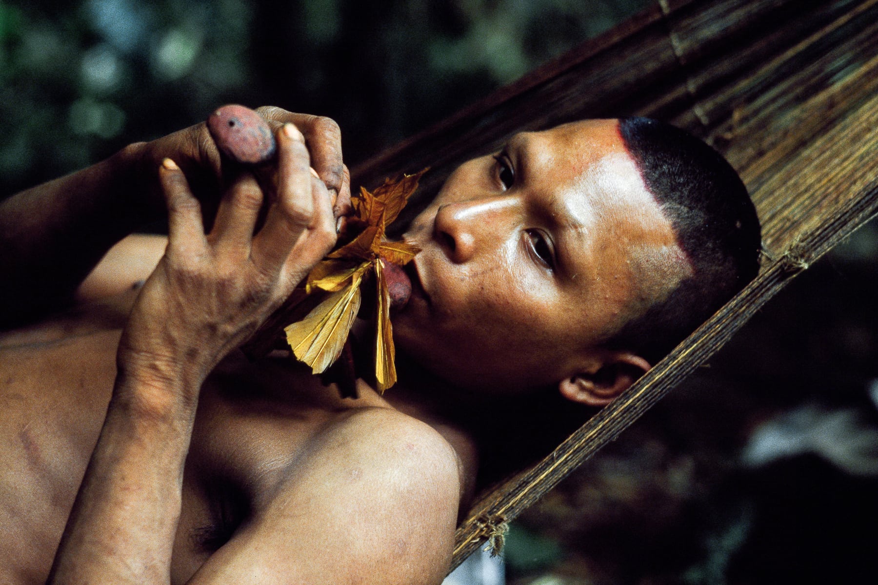 Amazonie, Amérique du Sud, Colombie, Leica M4-P, Nukak Maku, Tribu