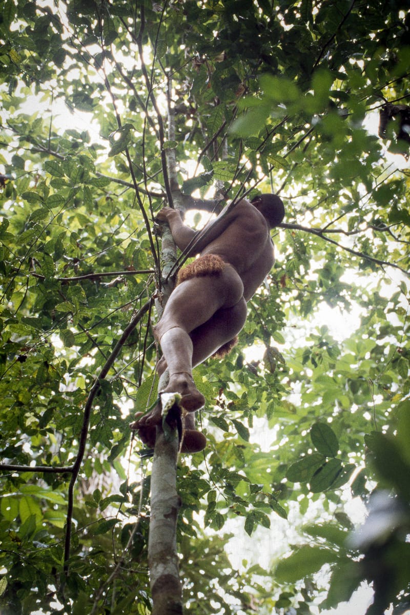 Amazonie, Amérique du Sud, Colombie, Leica M4-P, Nukak Maku, Tribu