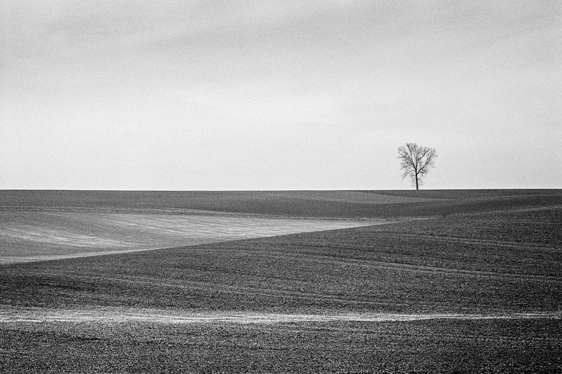 Belgique, Europe, Leica M6, Noir et blanc, Tri-X