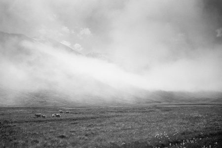 Europe, Islande, Leica M6, Noir et blanc