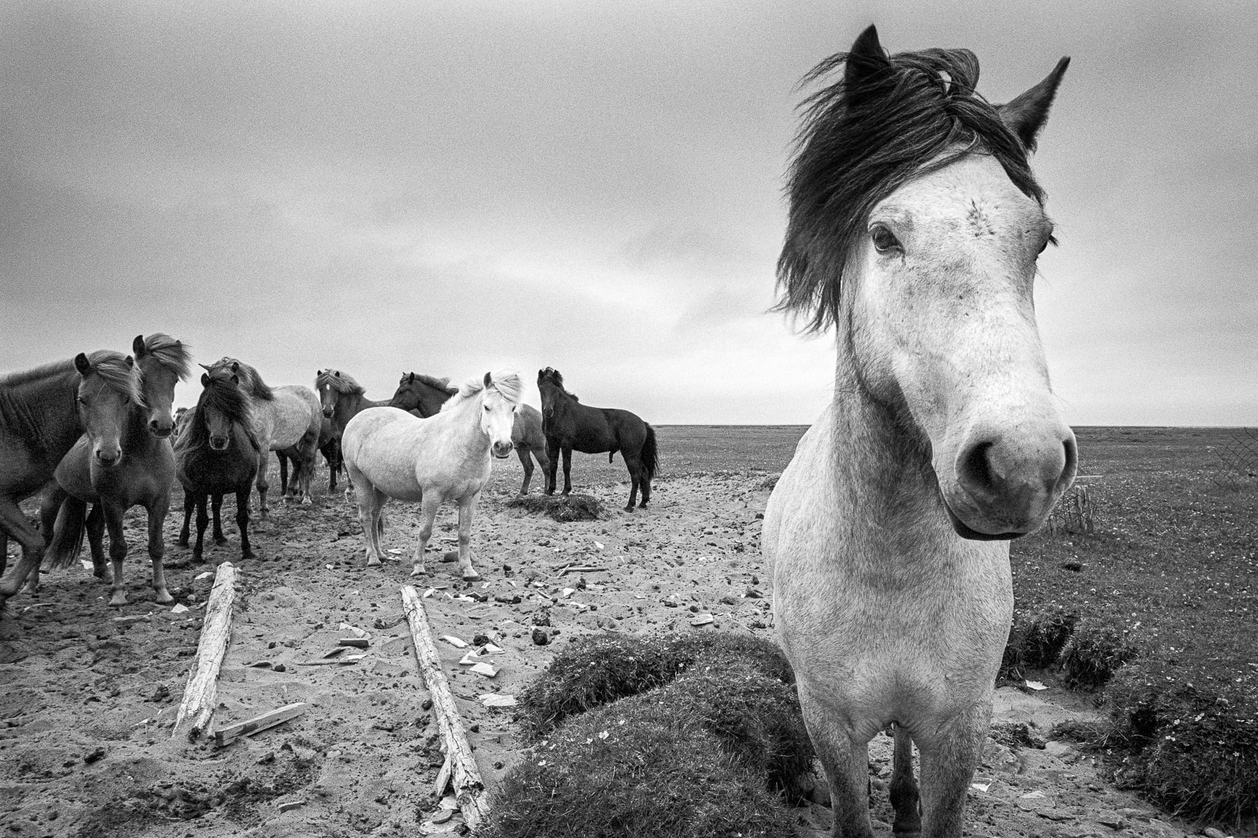 Europe, Islande, Leica M6, Noir et blanc