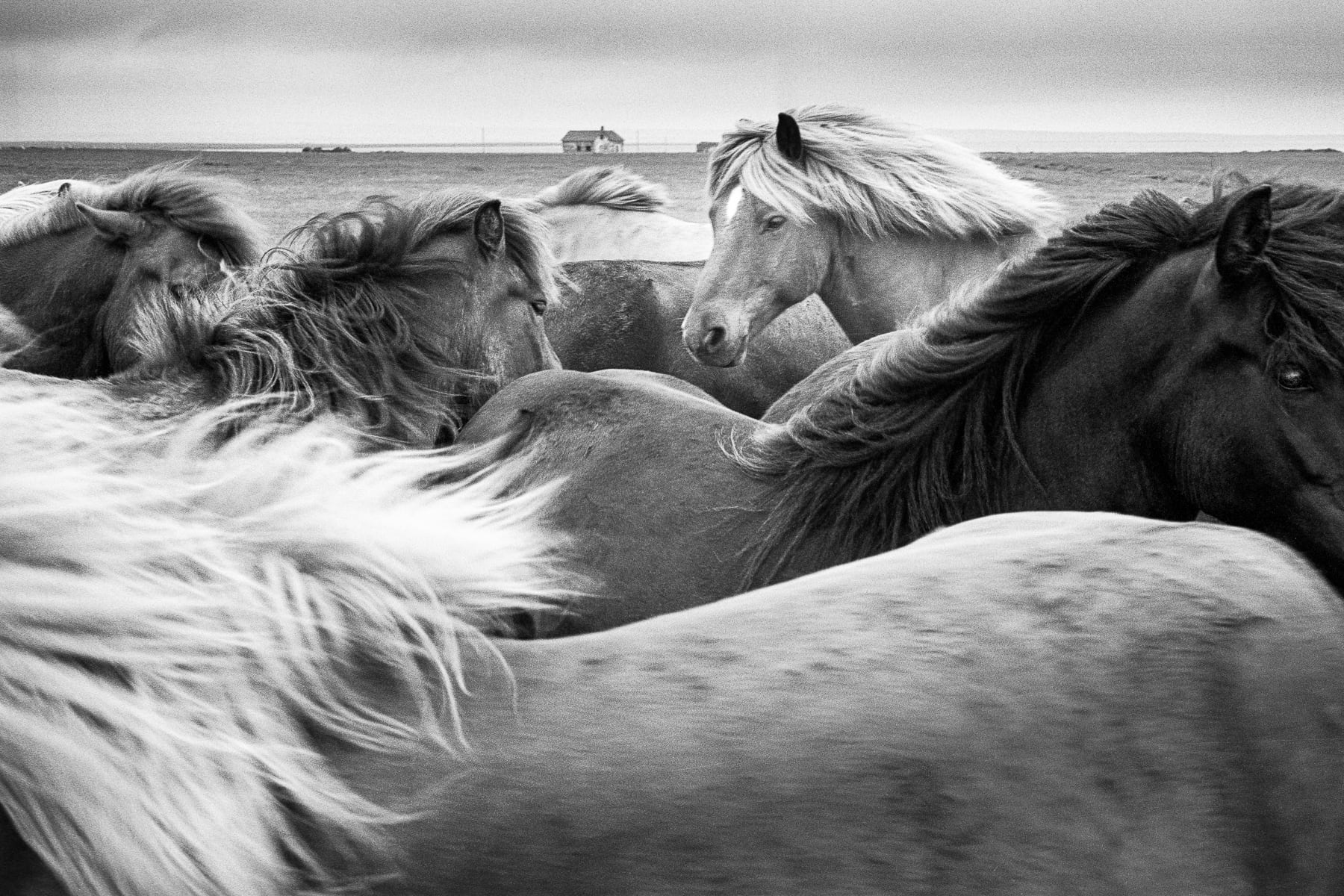 Europe, Islande, Leica M6, Noir et blanc