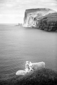 Europe, Islande, Leica M6, Noir et blanc