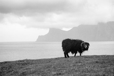 Europe, Islande, Leica M6, Noir et blanc