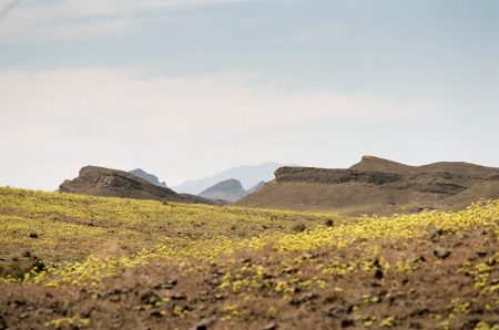 Afrique du Nord, Maroc, Nikon FM2