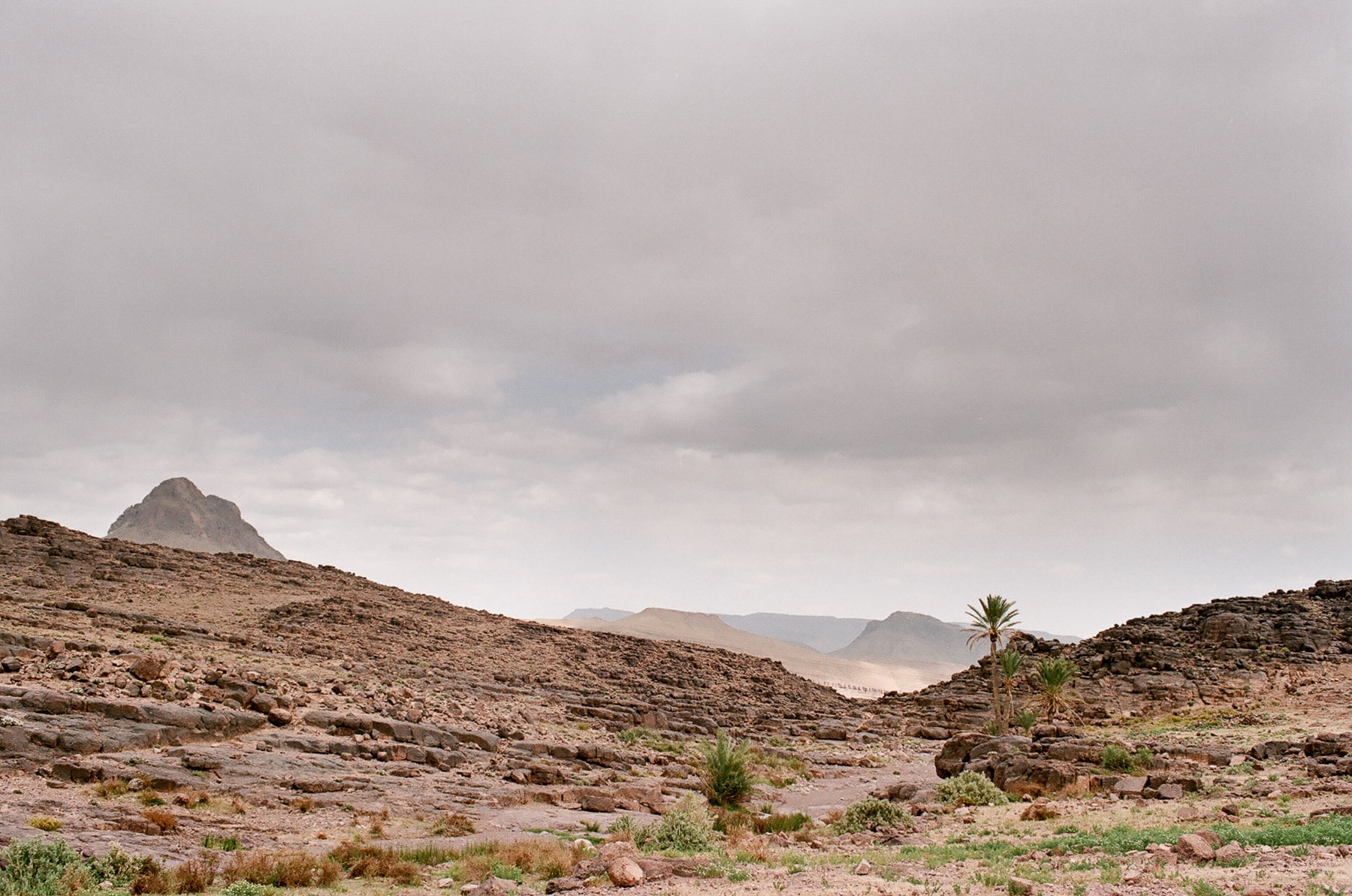 Afrique du Nord, Maroc, Nikon FM2