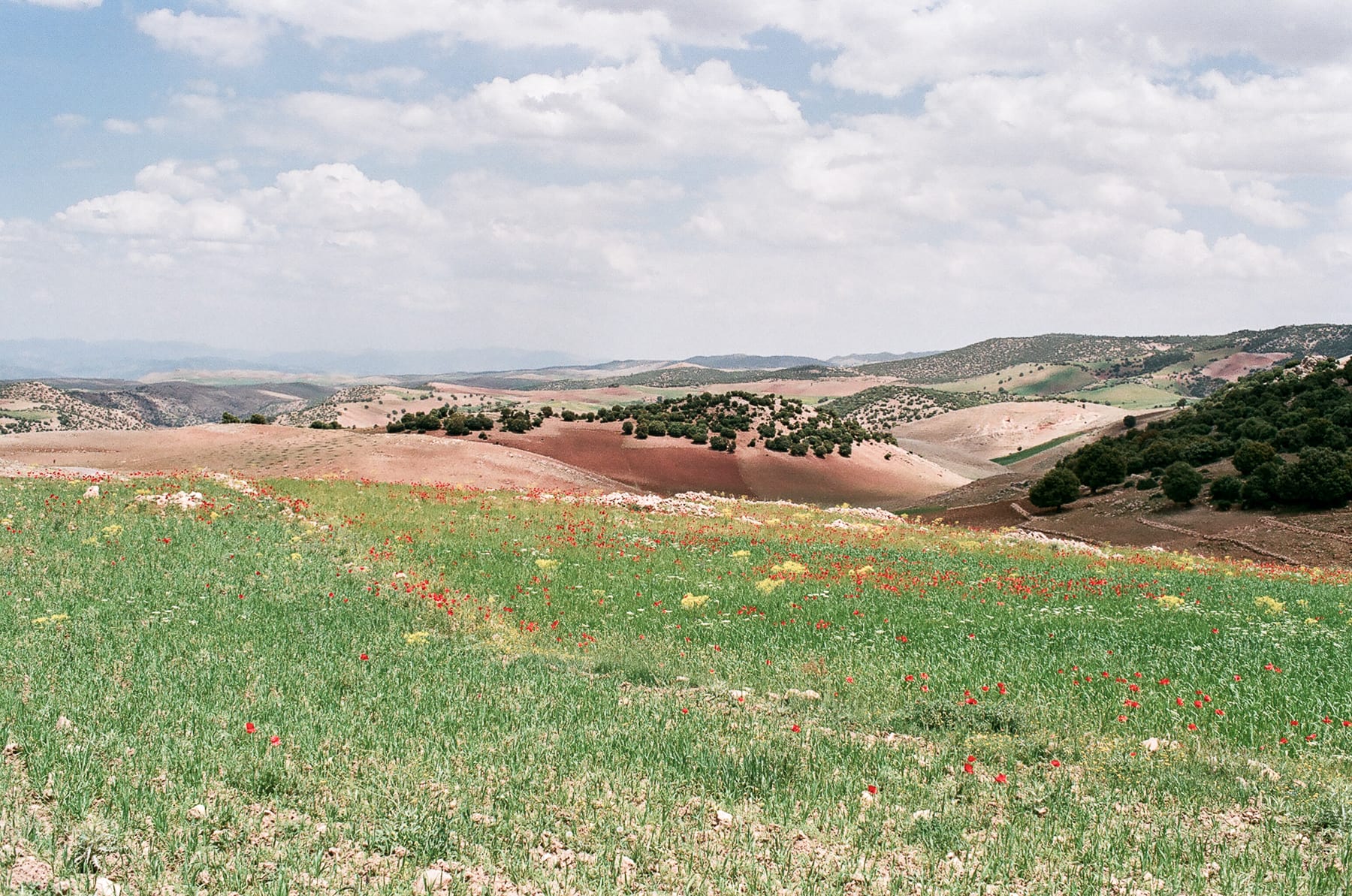 Afrique du Nord, Maroc, Nikon FM2