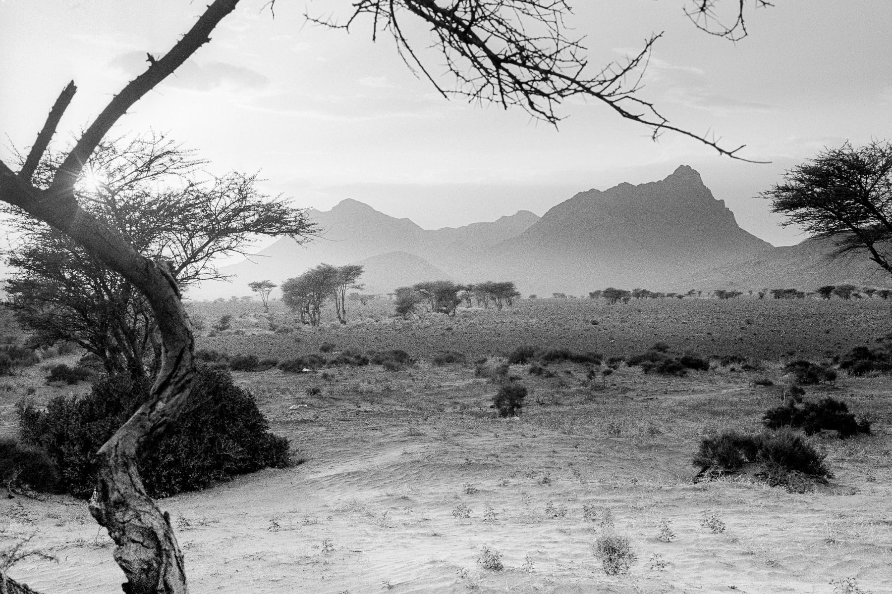 Afrique du Nord, Leica M6, Maroc, Noir et blanc, Tri-X