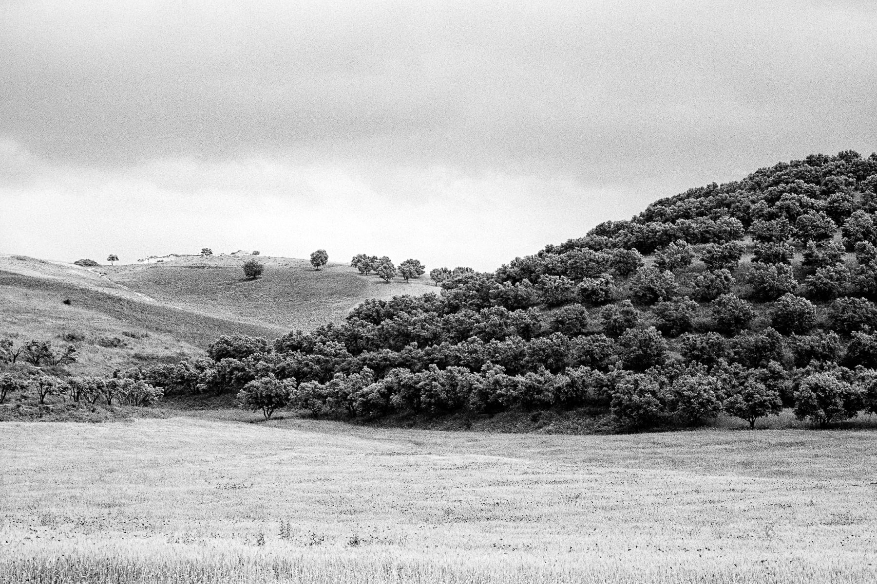 Afrique du Nord, Leica M6, Maroc, Noir et blanc, Tri-X