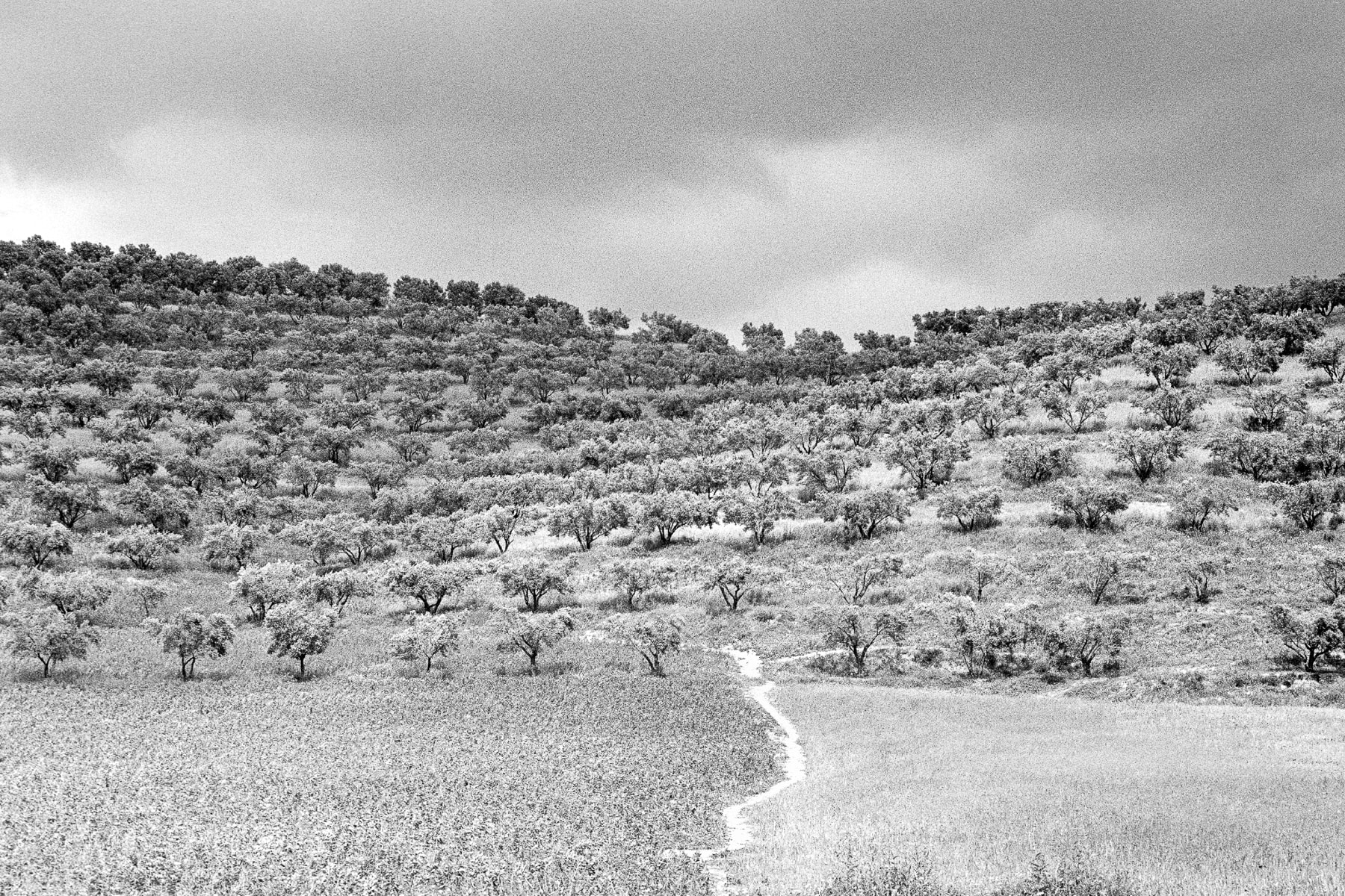 Afrique du Nord, Leica M6, Maroc, Noir et blanc