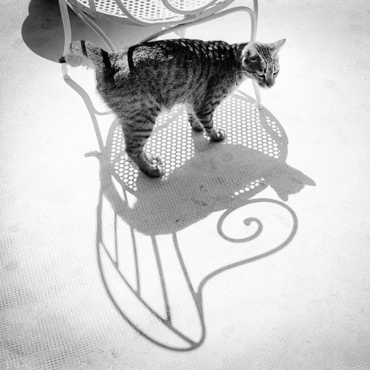 Instant, Leica M3, Noir et blanc, Tri-X