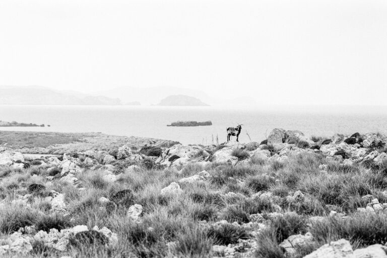 Espagne, Europe, Leica M6, Noir et blanc, Tri-X