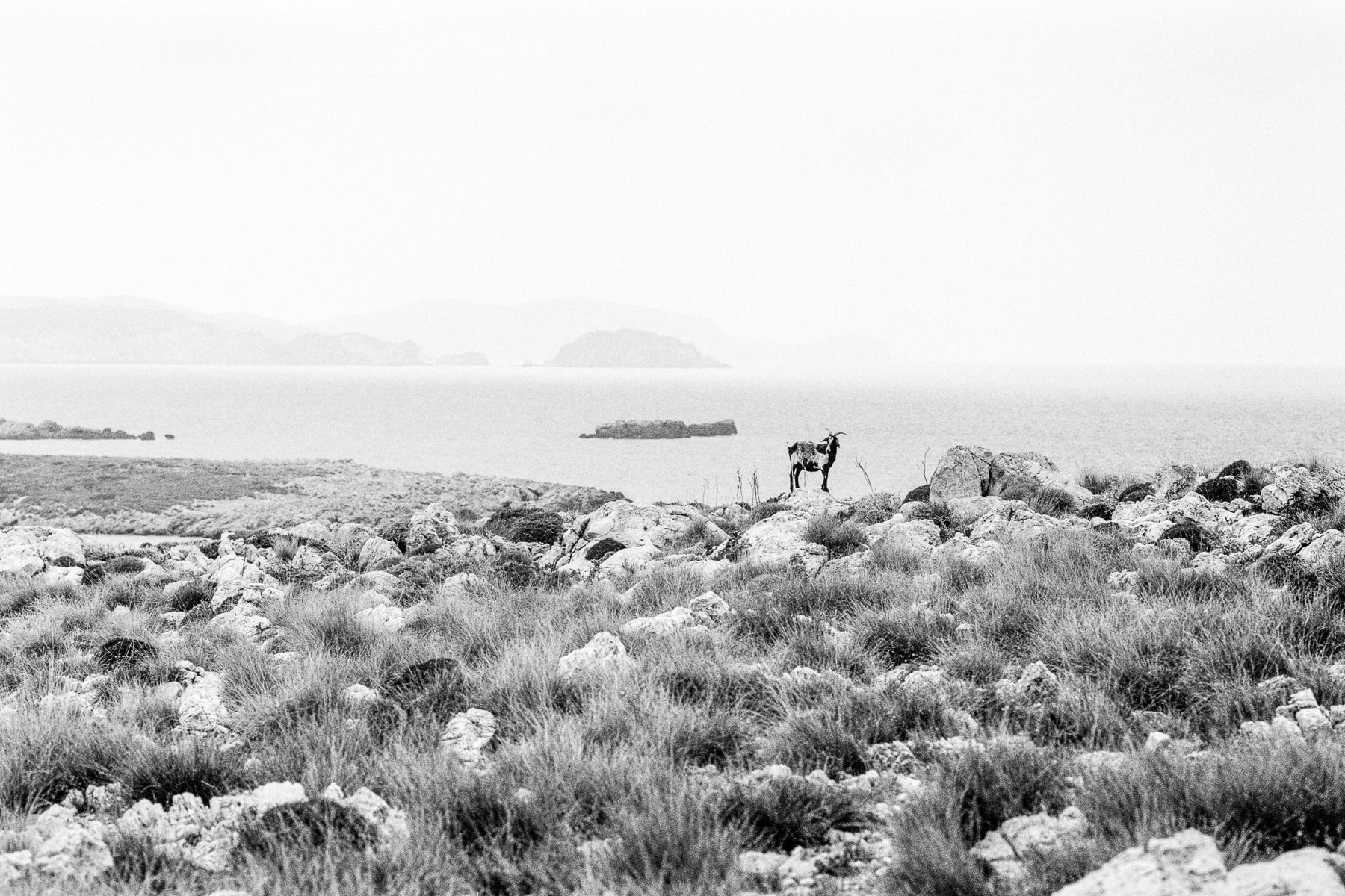 Espagne, Europe, Leica M6, Noir et blanc, Tri-X