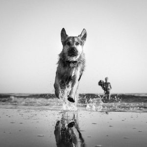 Instant, Leica Monochrom, Noir et blanc