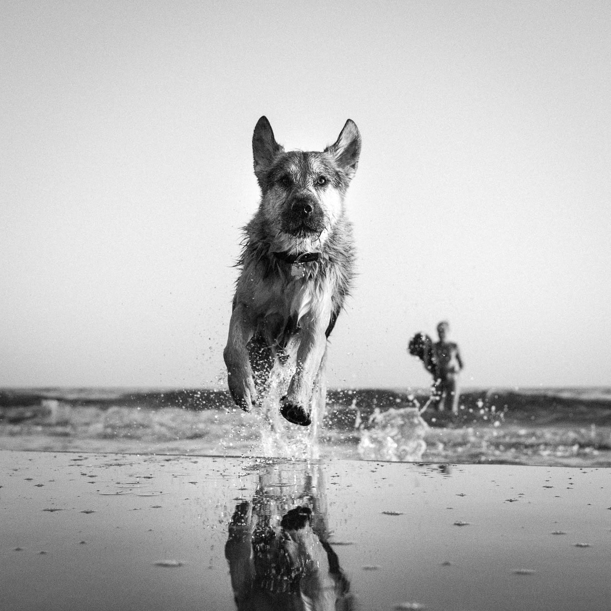 Instant, Leica Monochrom, Noir et blanc