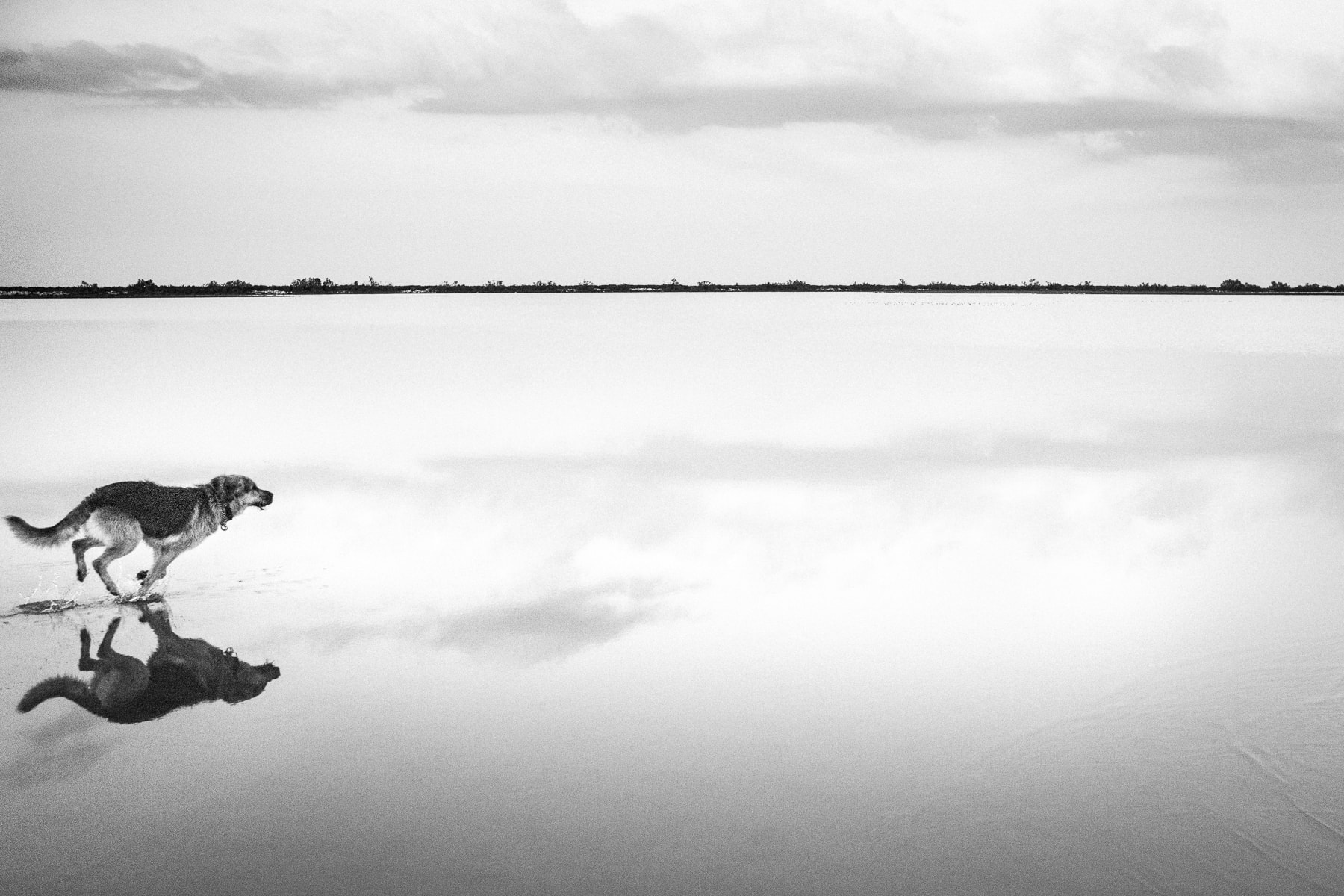 Instant, Leica Monochrom, Noir et blanc