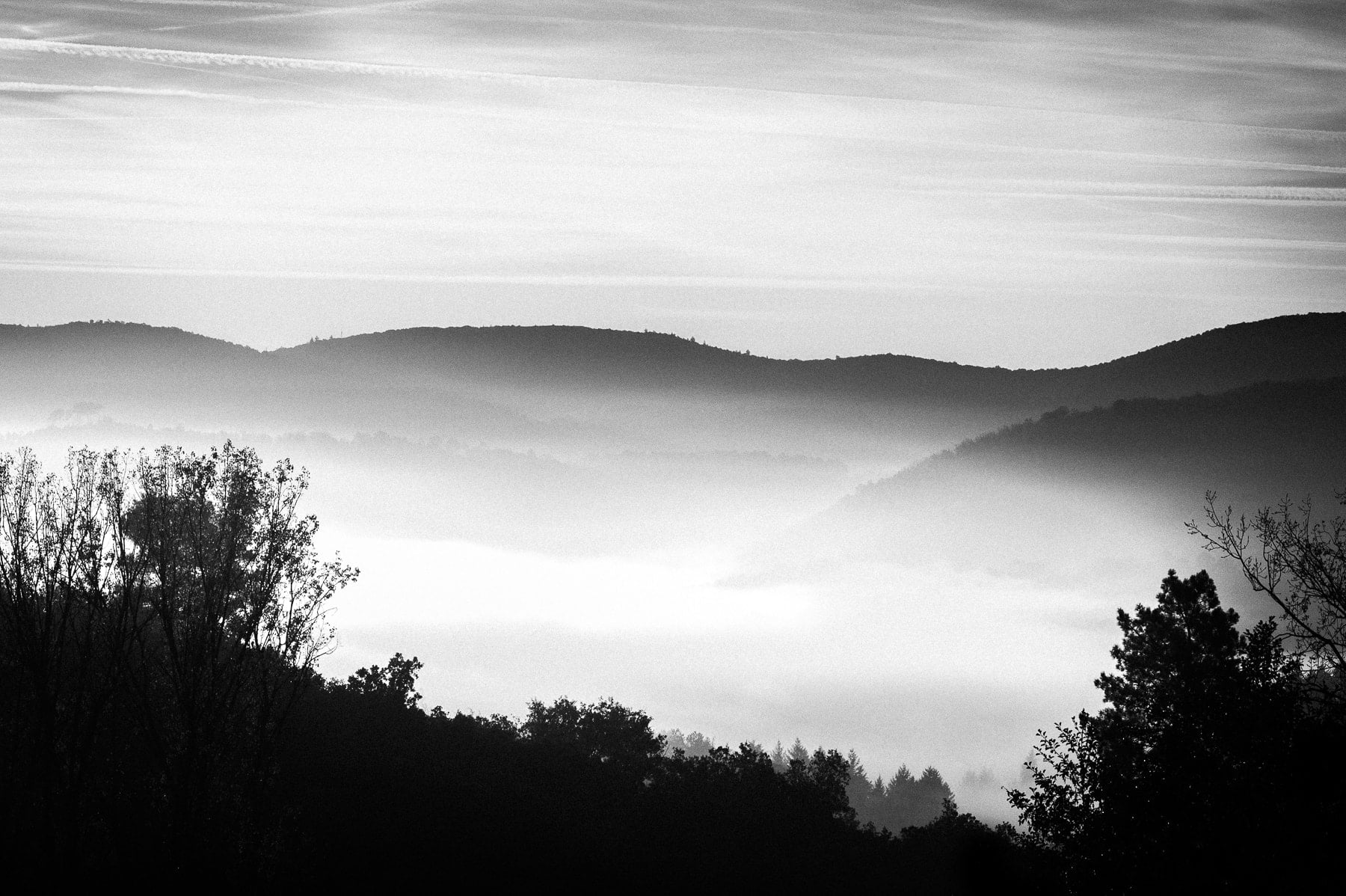 Instant, Leica Monochrom, Noir et blanc