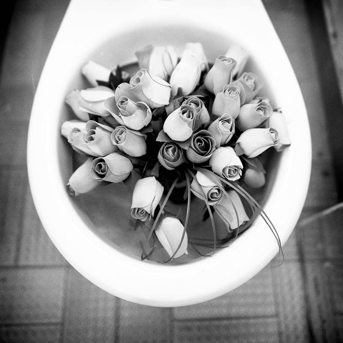 Fleurs, Instant, Leica Q, Noir et blanc