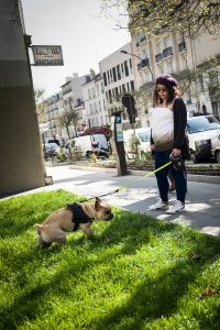 Europe, Leica Q, Paris