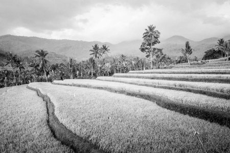 Asie, Indonésie, Leica Q, Noir et blanc