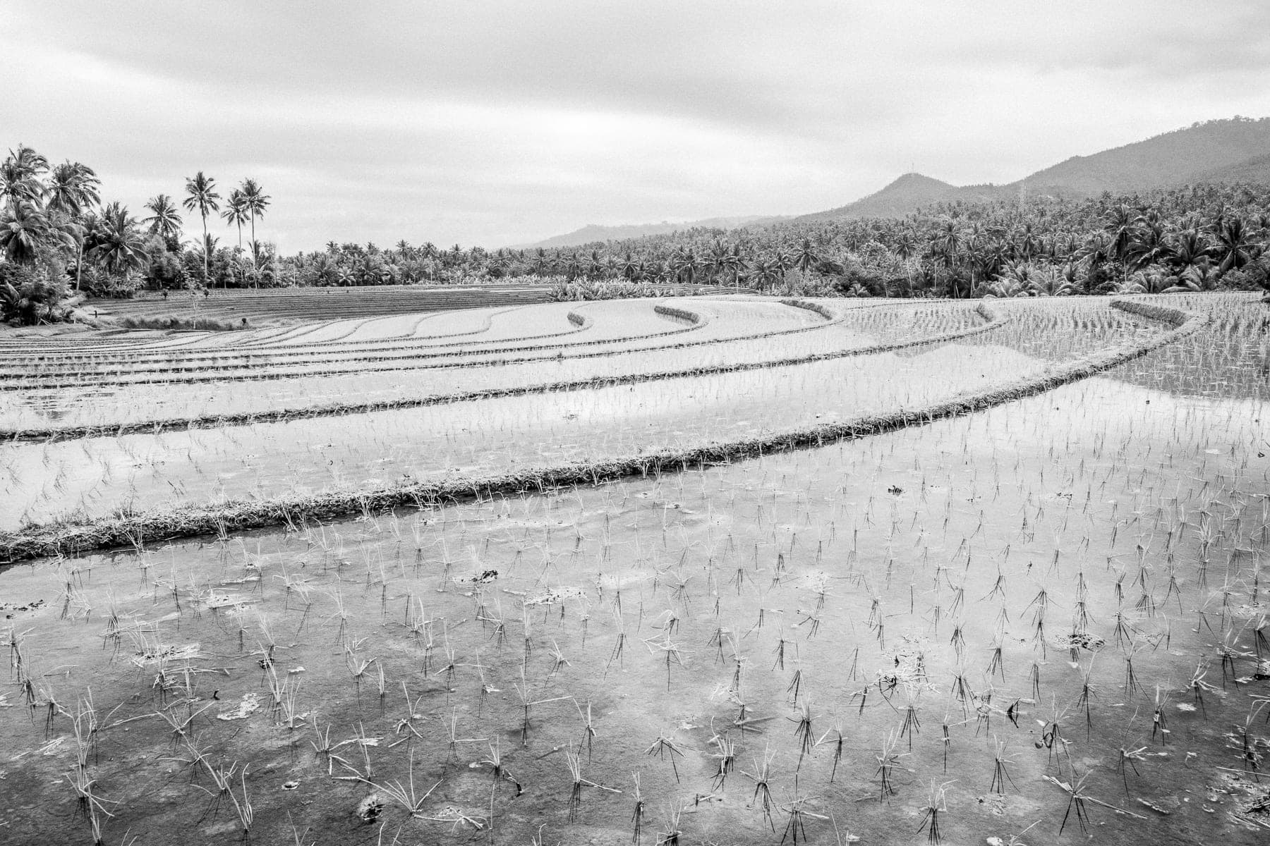 Asie, Indonésie, Leica Q, Noir et blanc