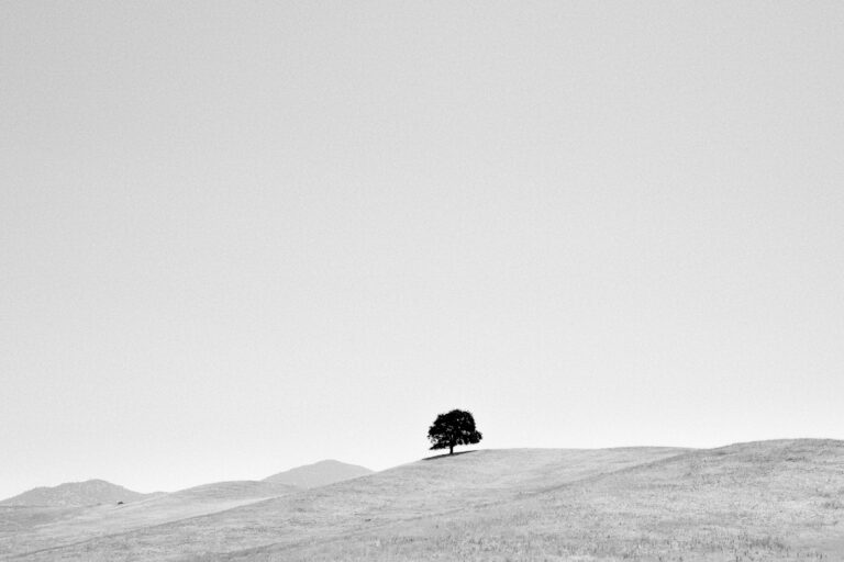 Amérique du Nord, Californie, Leica Q, Noir et blanc