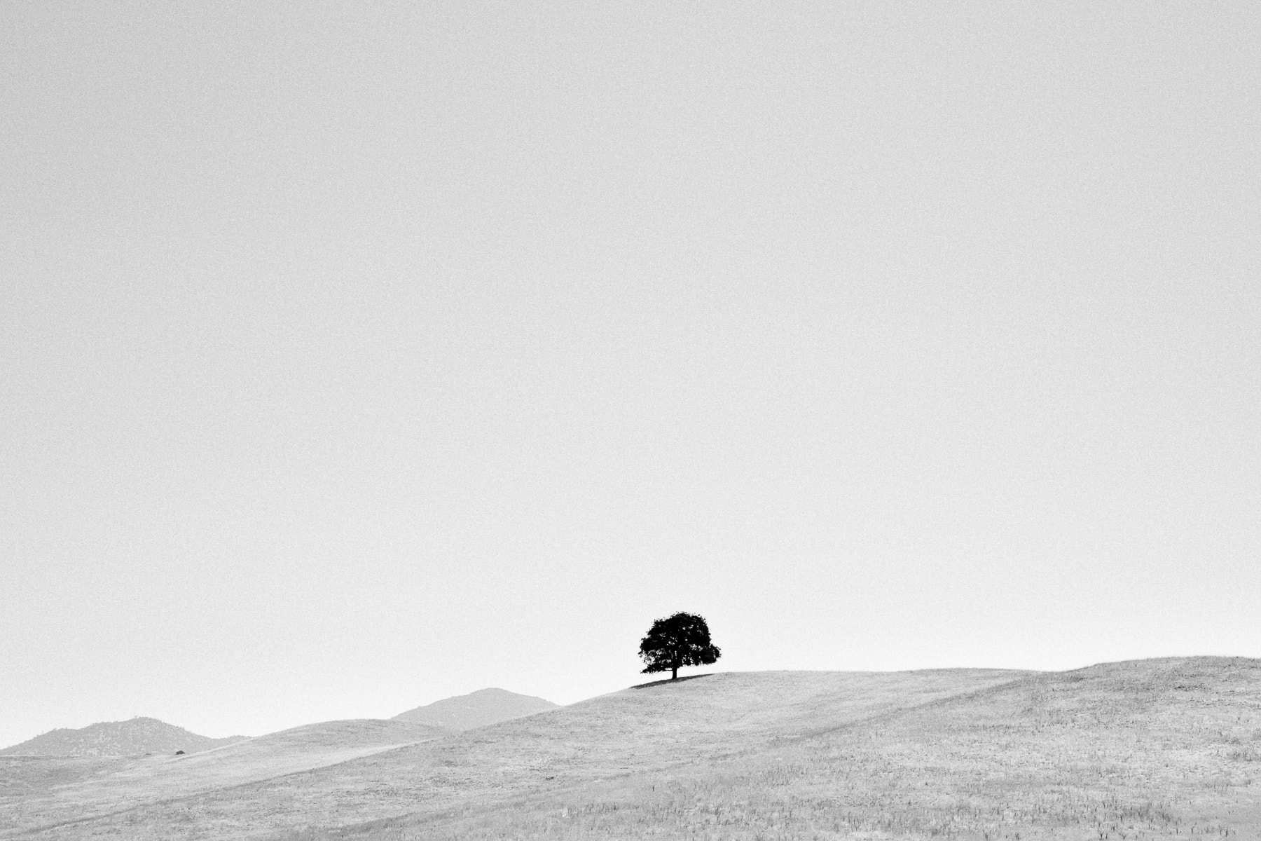 Amérique du Nord, Californie, Leica Q, Noir et blanc