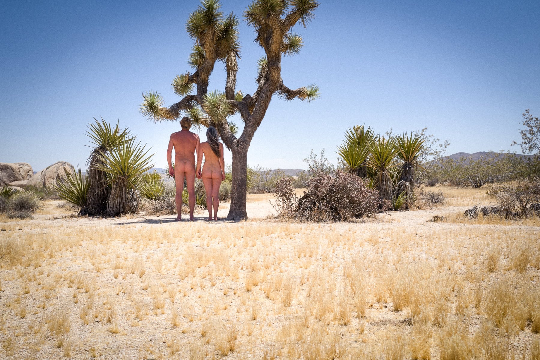 Californie, Joshua Tree, Leica Q, MySelf, Nu