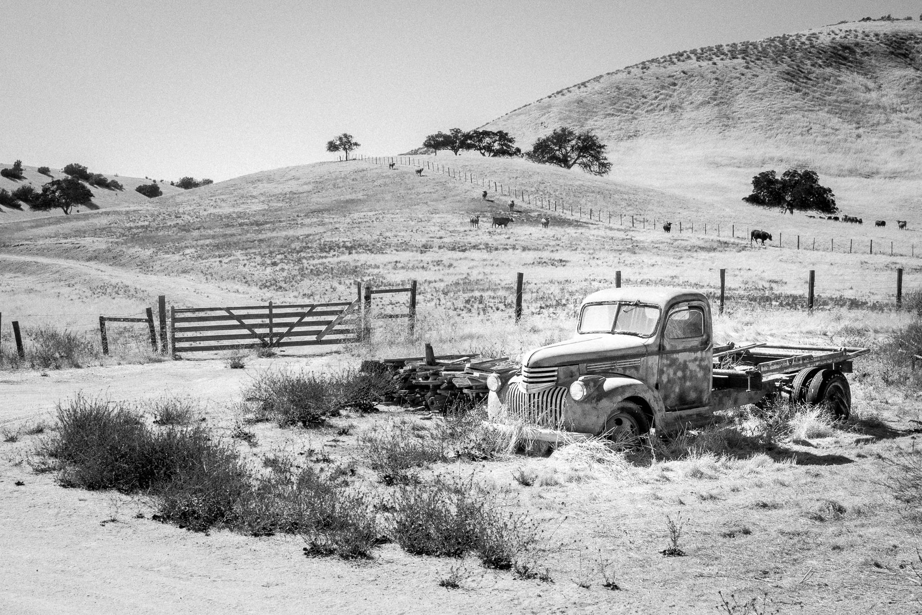Amérique du Nord, Californie, Camion, Leica Q, Noir et blanc