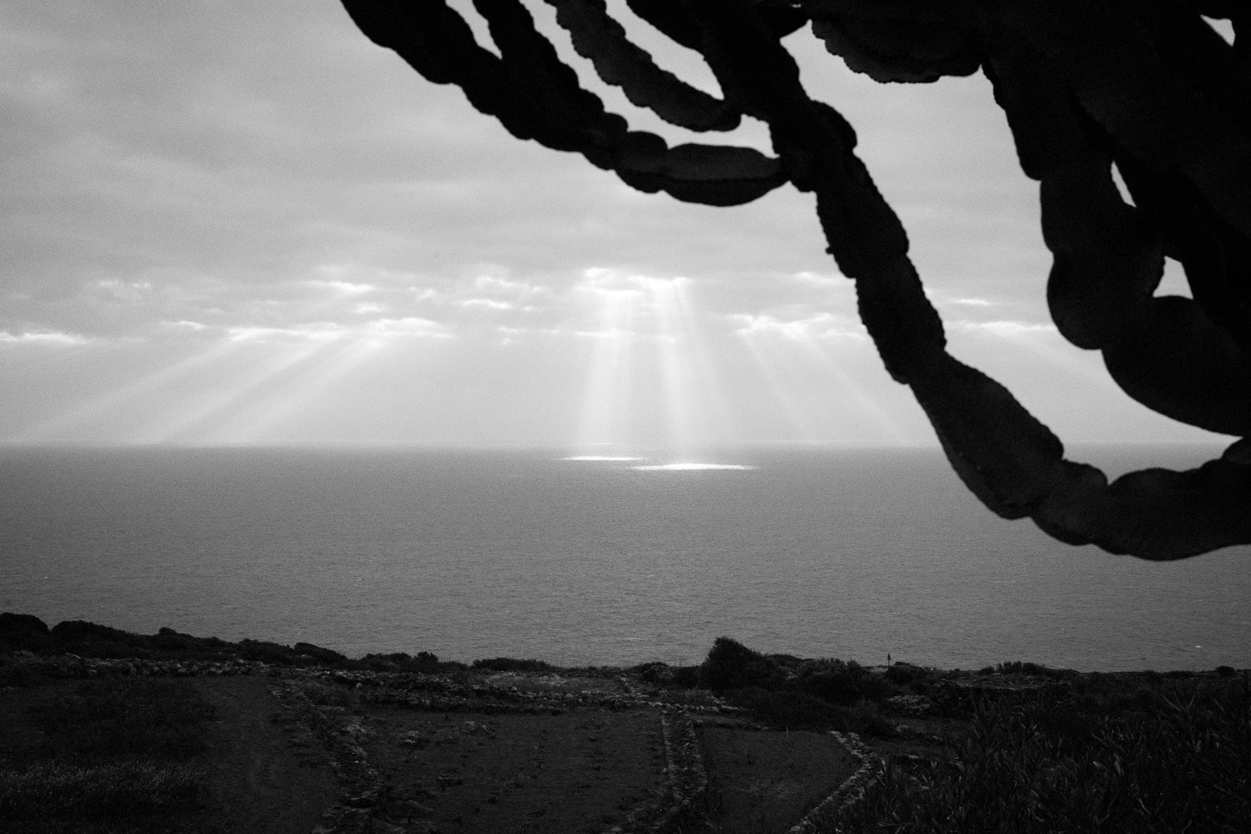 Europe, Italie, Leica M10, Noir et blanc, Pantelleria