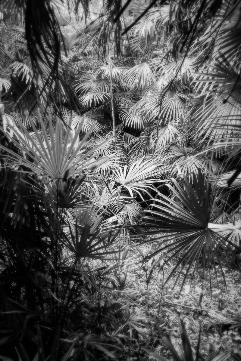 Instant, Leica M10, NEW, Noir et blanc