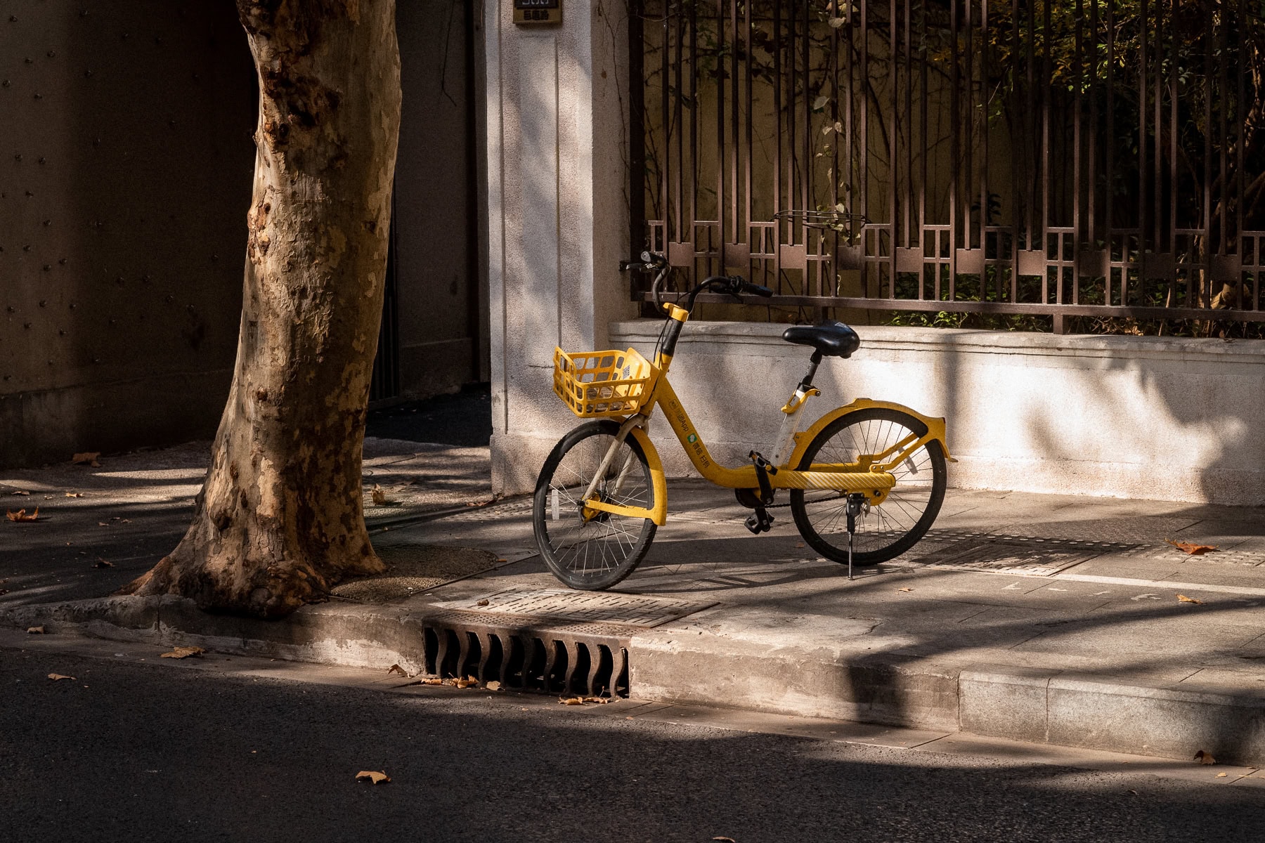 Asie, China, NEW, Shanghai