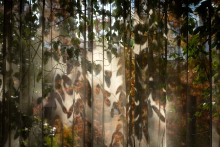 Asie, China, NEW, Pékin