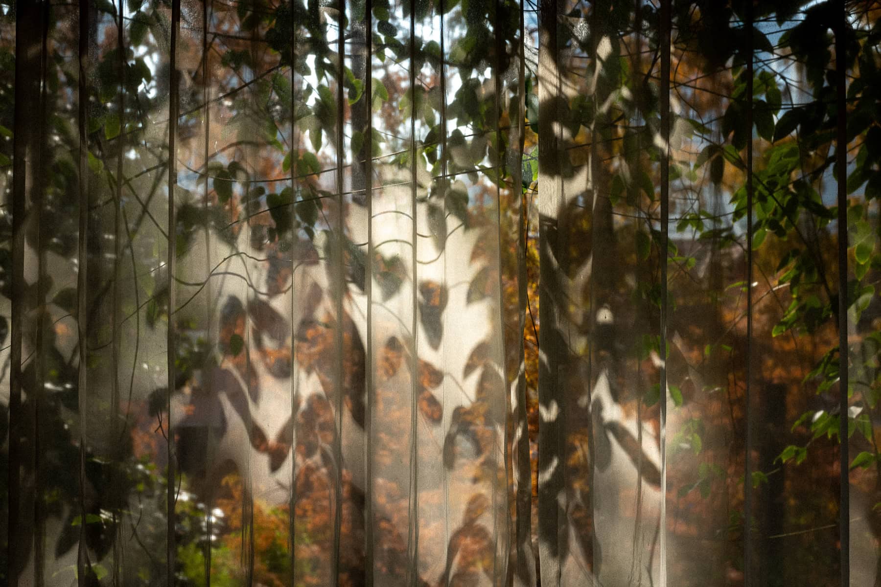 Asie, China, NEW, Pékin